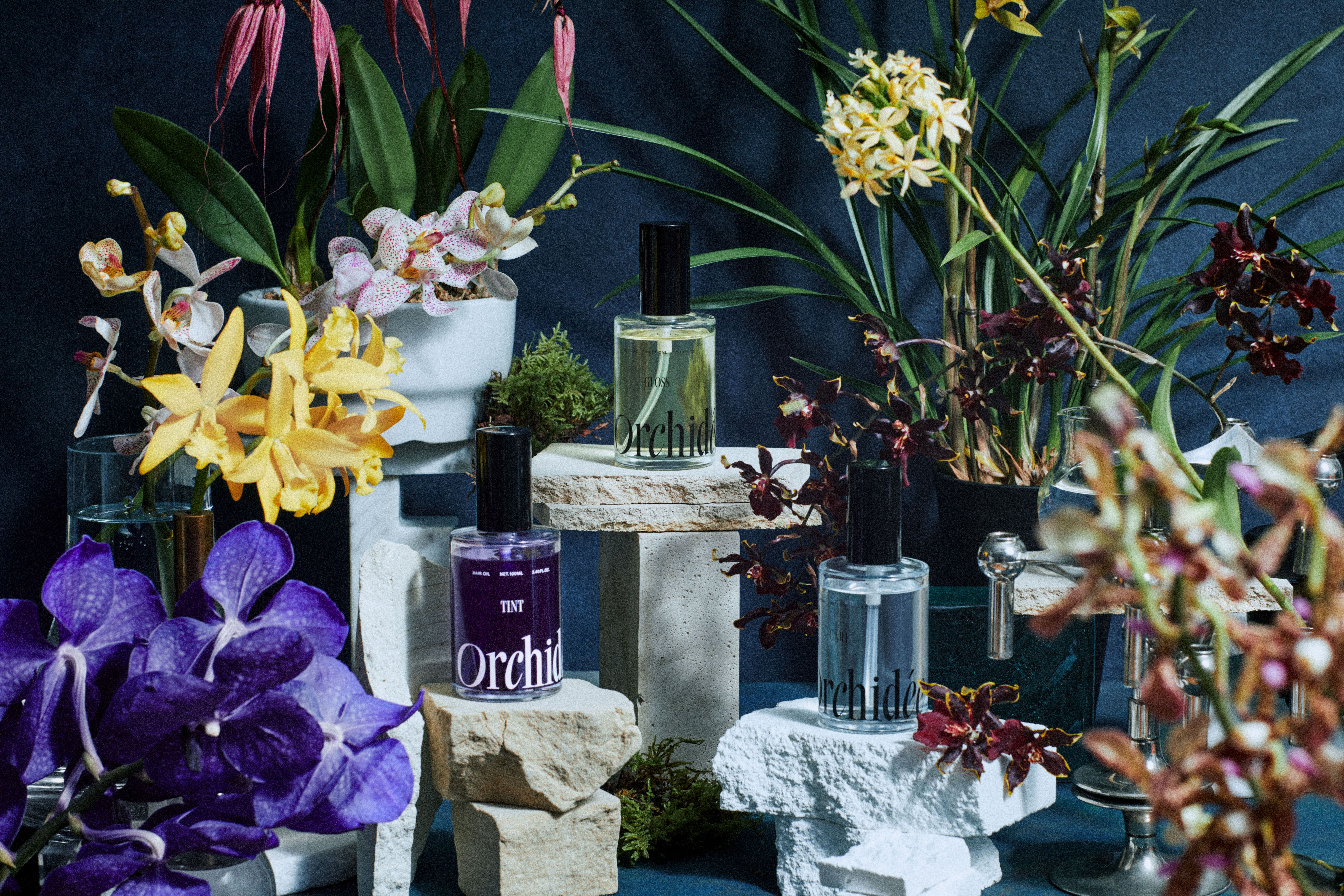 新フレグランス ヘアオイル 「Maison Orchidée(メゾンオルキデ)