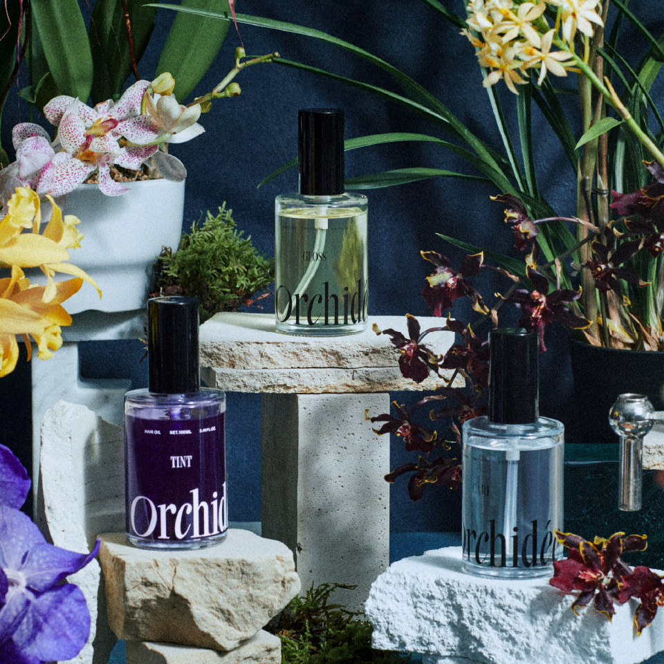 Orchidée メゾンオルキデ